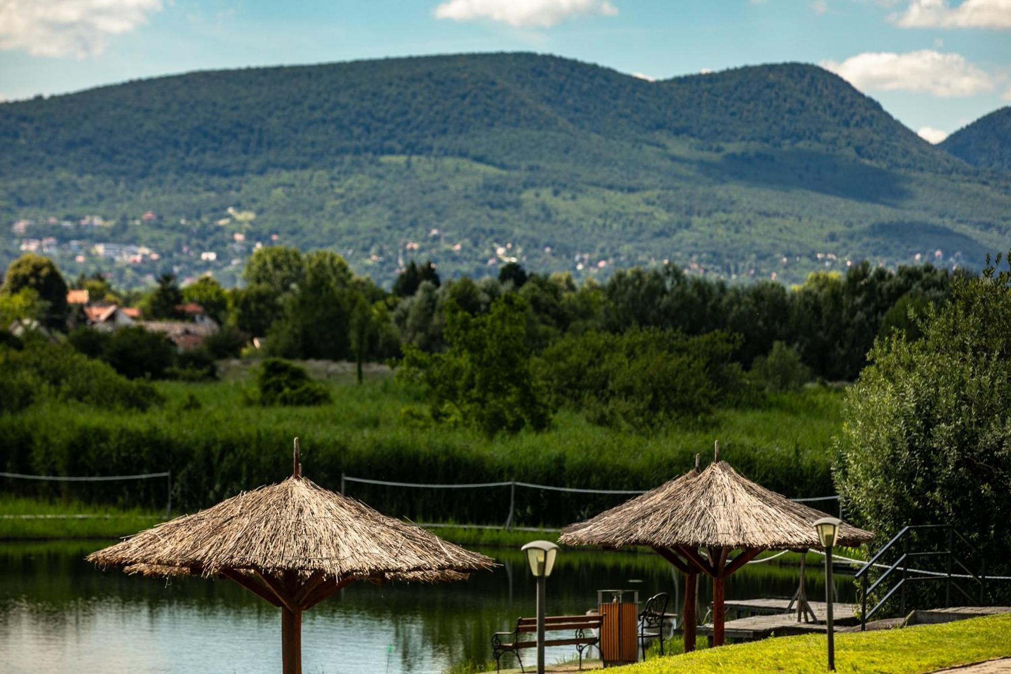 Hotel Golden Palace Гёд Экстерьер фото